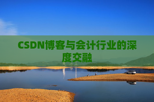 CSDN博客与会计行业的深度交融