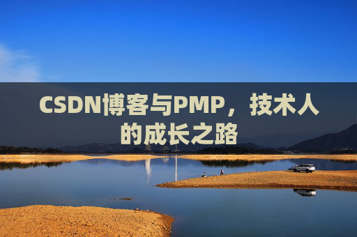 CSDN博客与PMP，技术人的成长之路